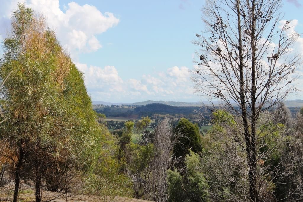 Mudgee NSW 2850, Image 1