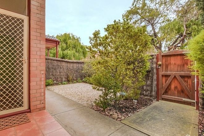 Picture of 5/6 Hale Street, EVERARD PARK SA 5035