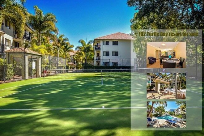 74 1 Bedroom Apartments For Sale In Mermaid Beach Qld 4218 Domain