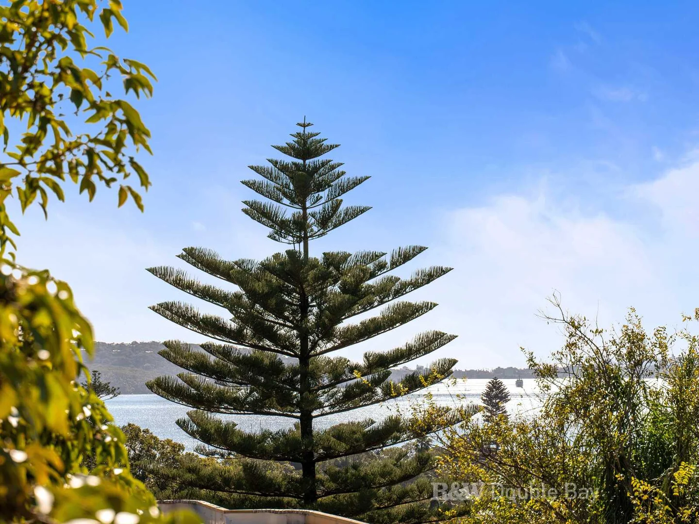 Additional image 6 of 2/230 New South Head Road, Edgecliff NSW 2027