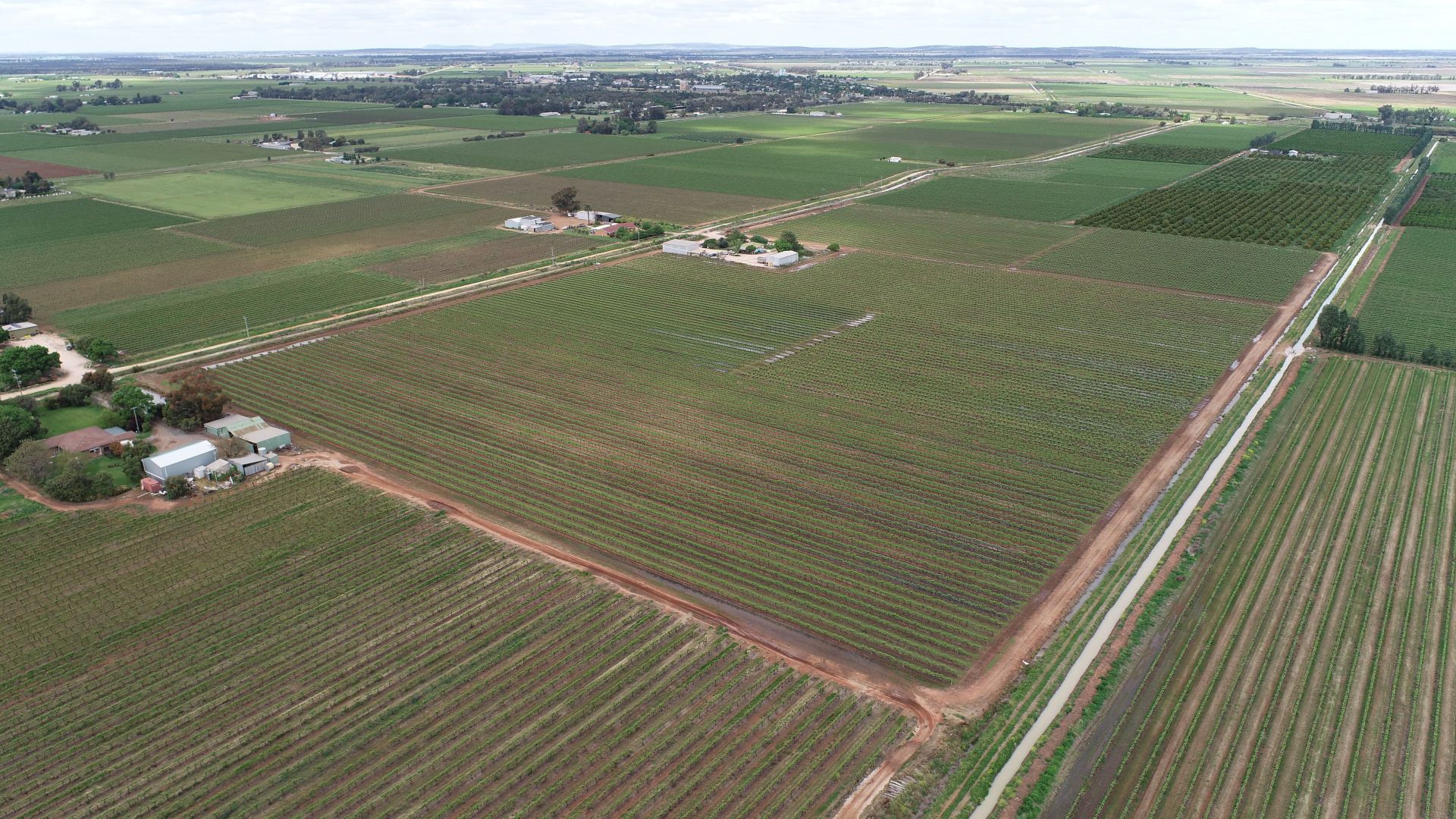 1356 Rodgers Road, Yenda NSW 2681 House for Sale Domain