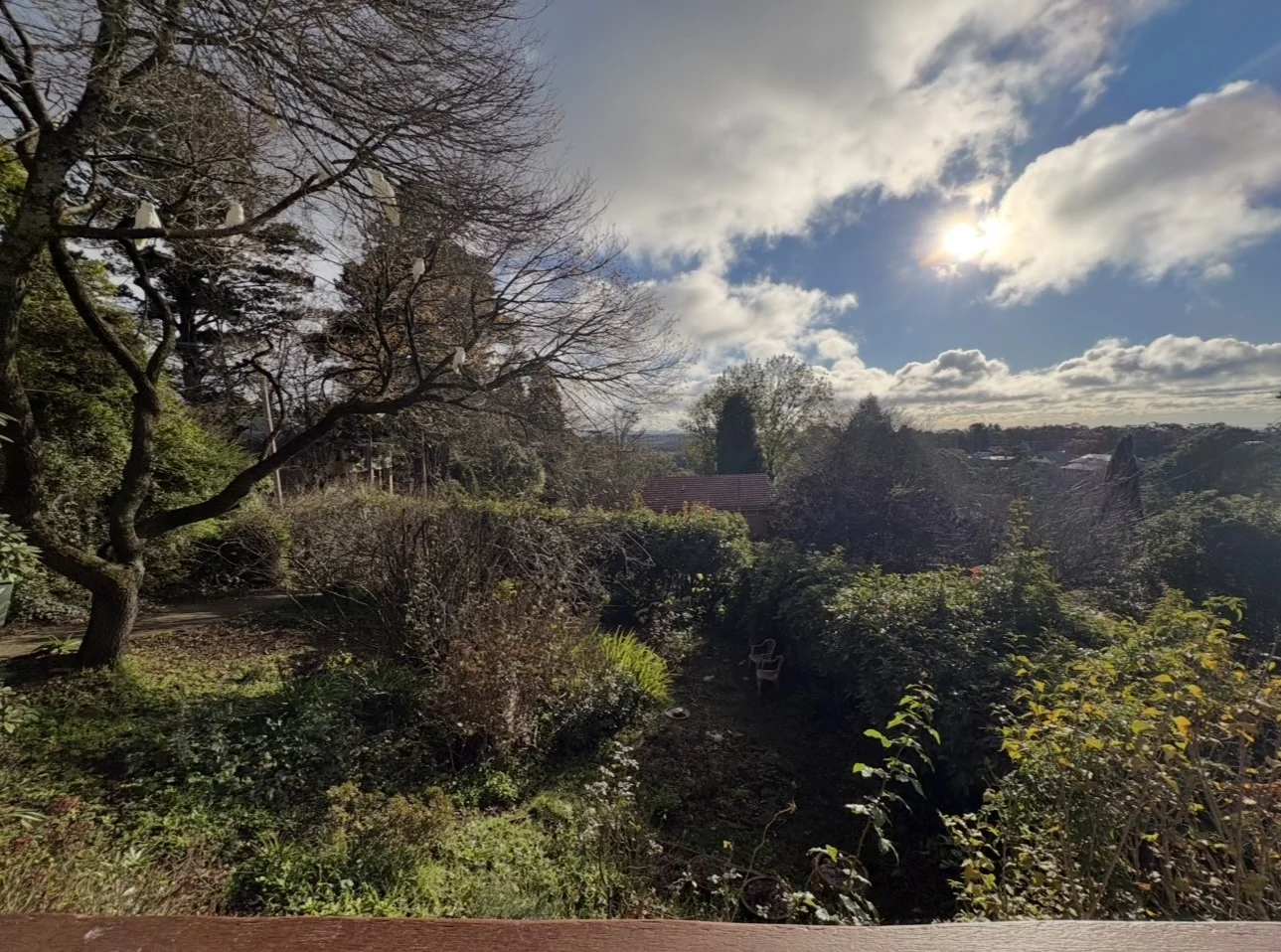 Image 11