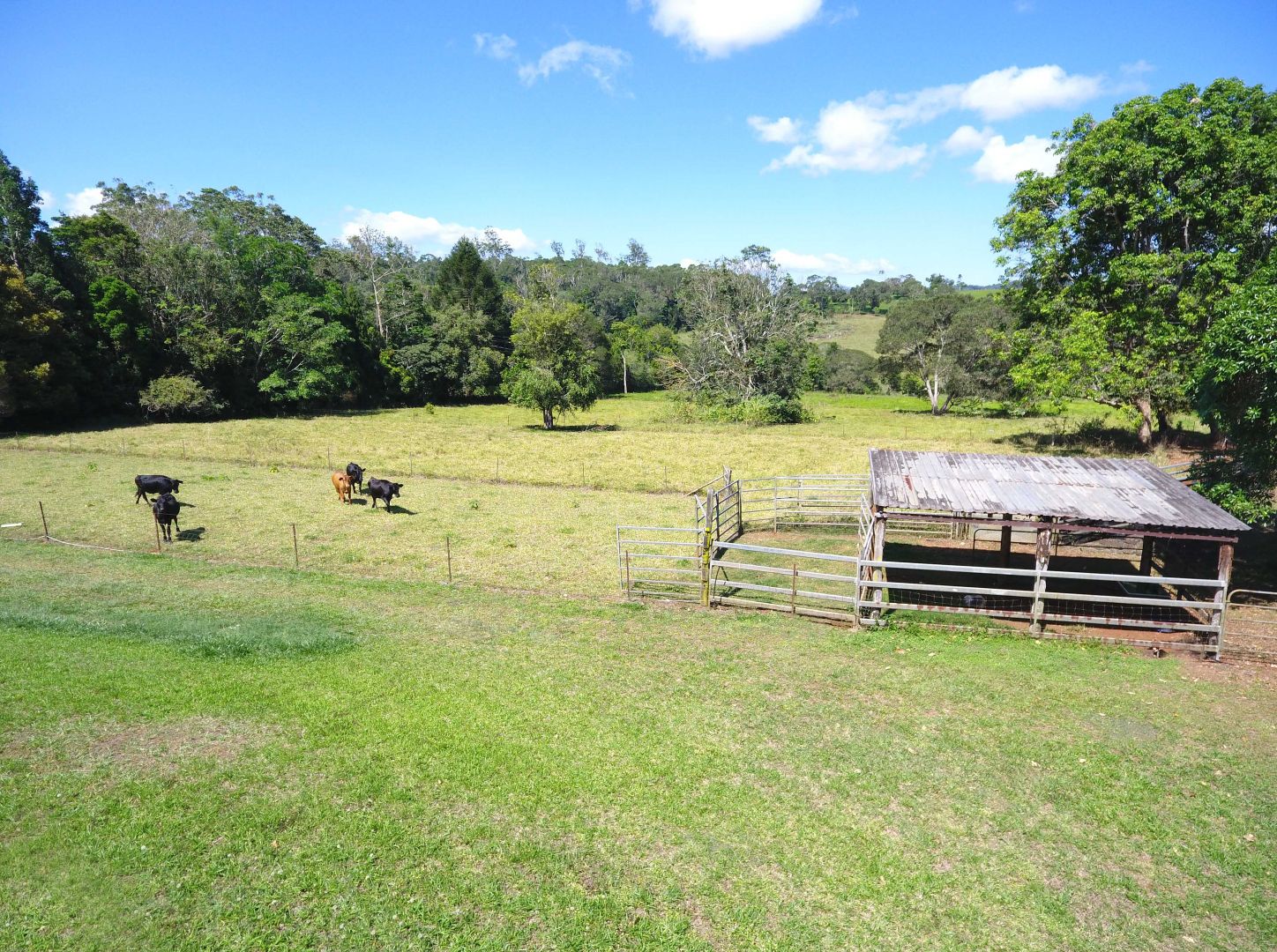 198 Ball Rd, Peeramon QLD 4885, Image 1