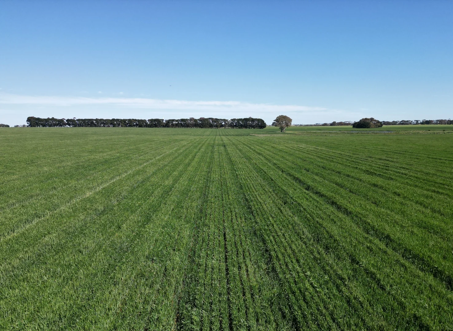 Additional image 5 of Woorndoo-Darlington Road, Woorndoo VIC 3272