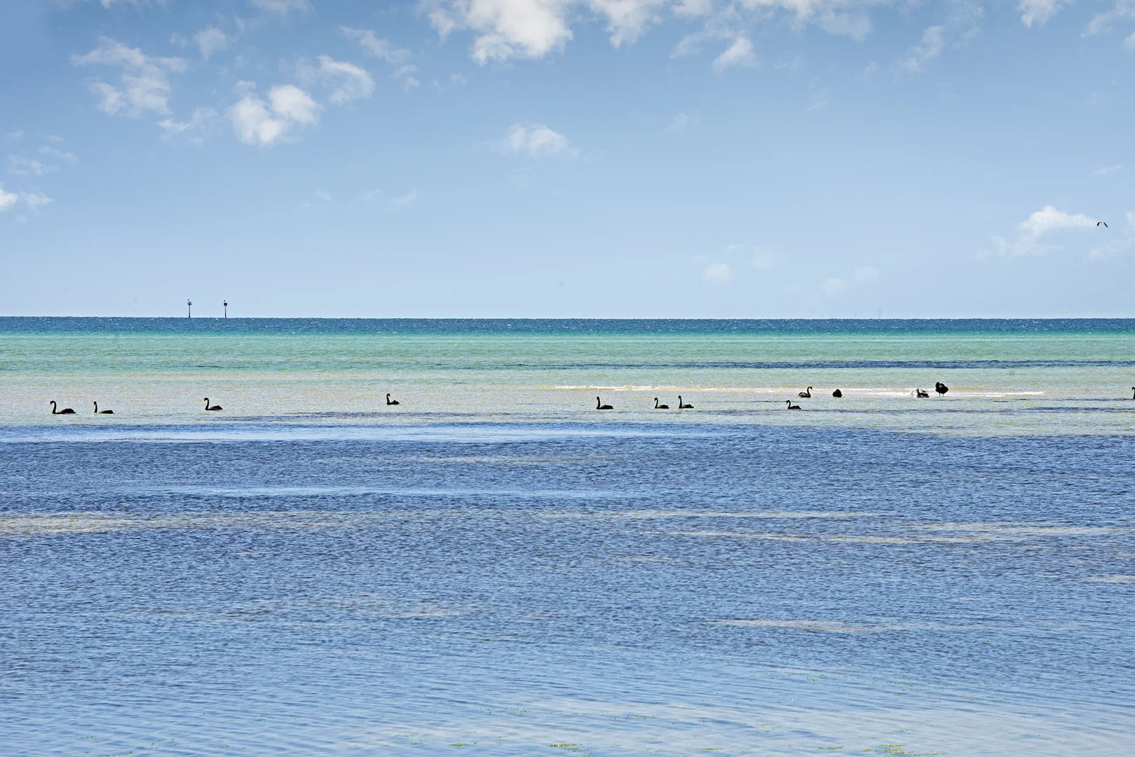 Additional image 9 of 8/307-311 Eastbourne Road, Capel Sound VIC 3940