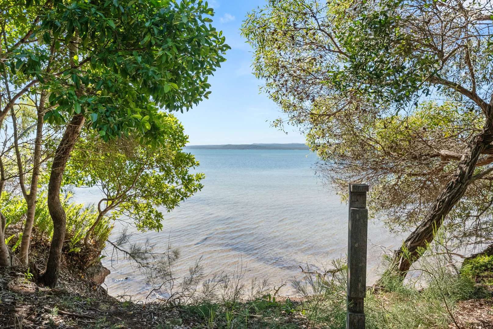 Image 16