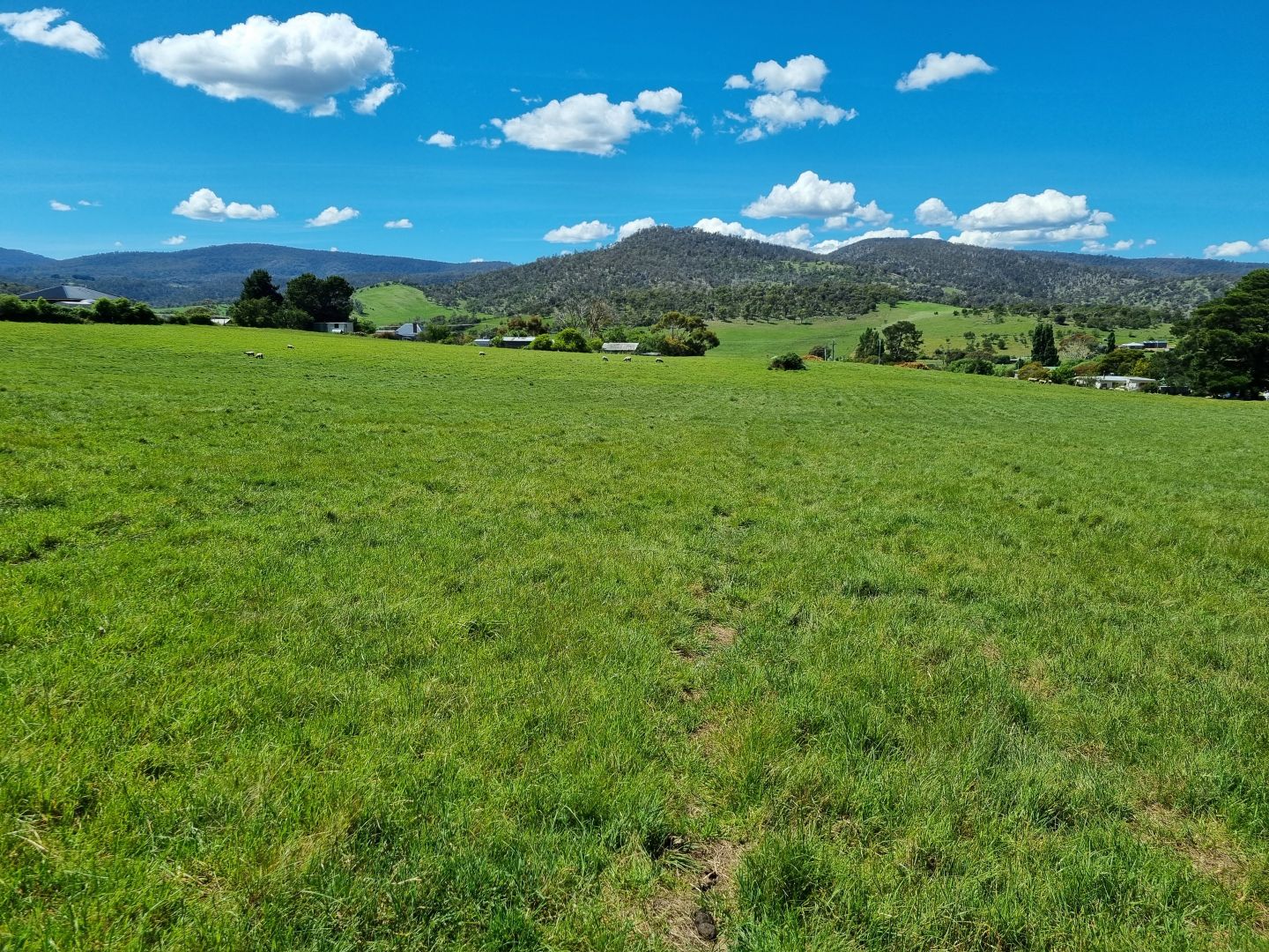 7 Quarrytown Road, Bagdad TAS 7030 Vacant Land for Sale Domain