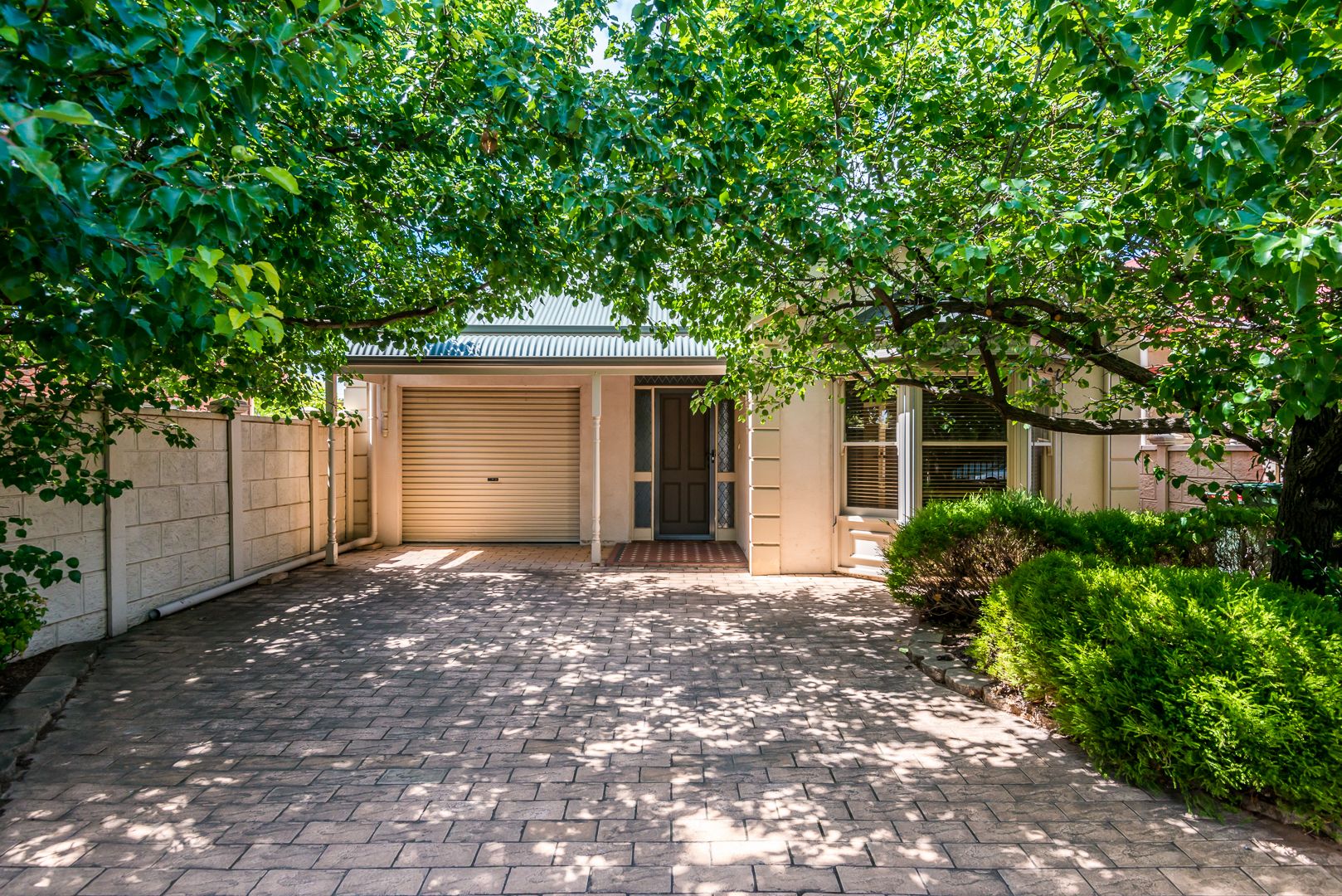 1A North Parade, Torrensville SA 5031, Image 1