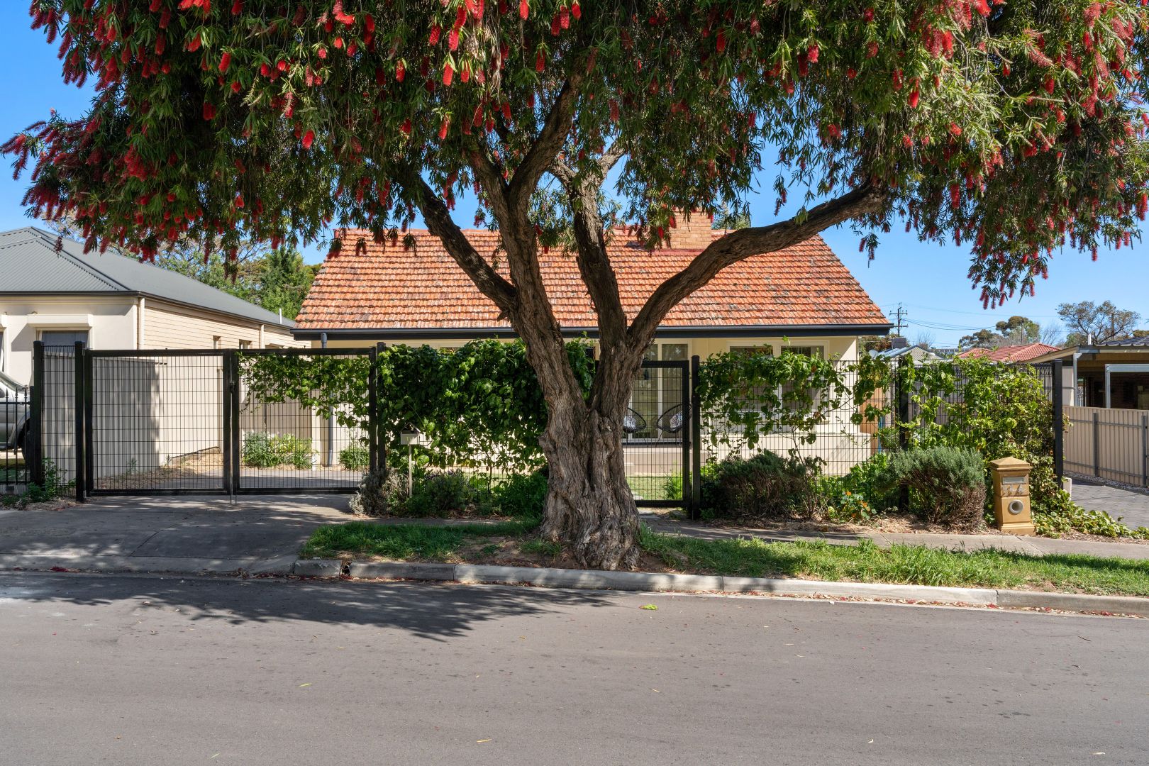 11 Kelway Crescent, Clearview SA 5085, Image 1