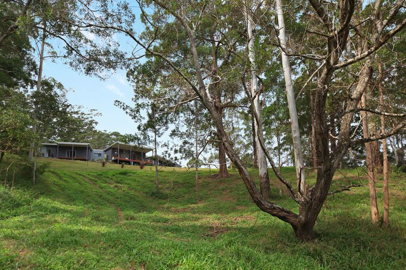 52 Kondalilla Falls Rd, Montville QLD 4560, Image 1