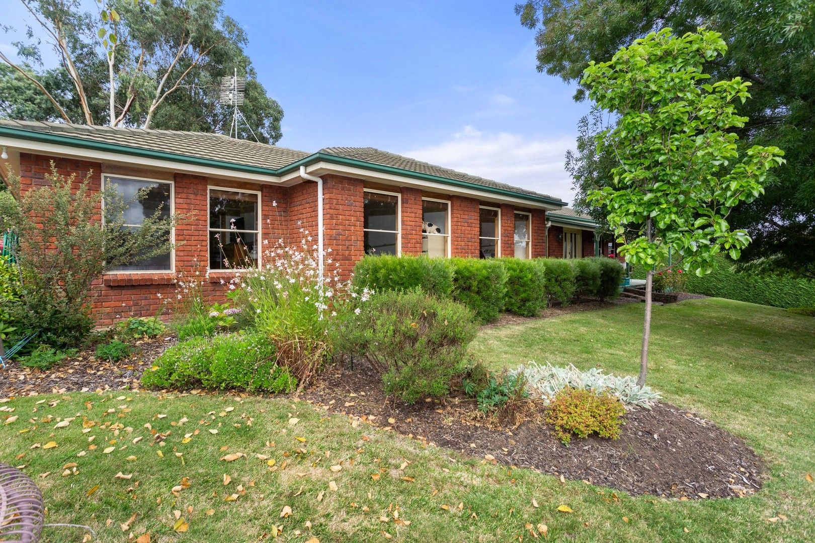 99 Panorama Road, Blackstone Heights TAS 7250, Image 2