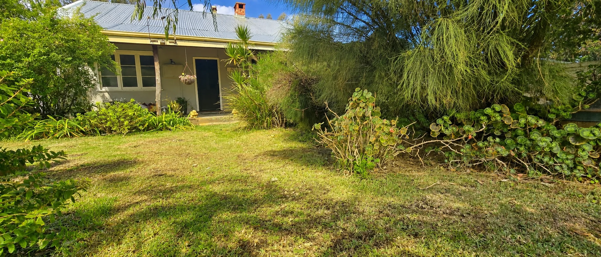 Image 21