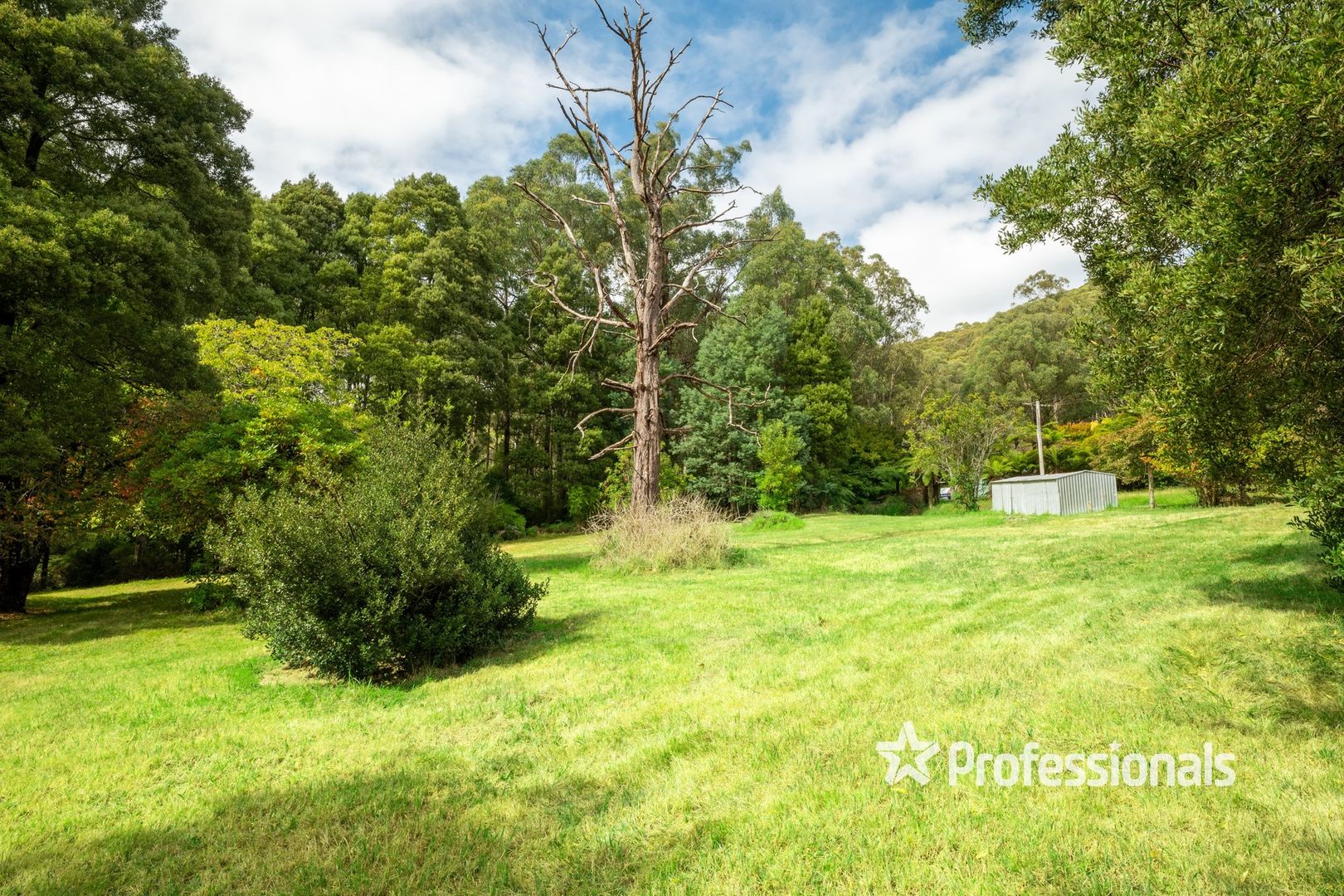 15 Lloyds Road, Powelltown VIC 3797, Image 1