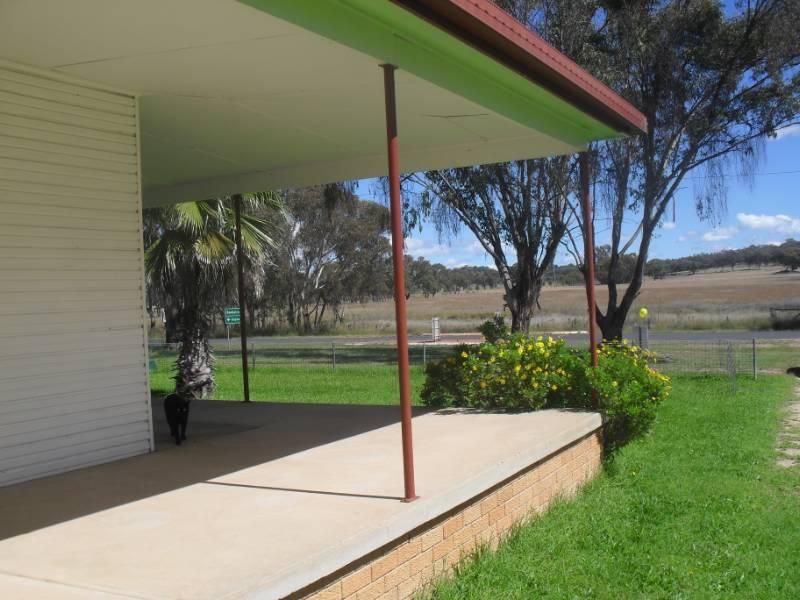 3624 Bundarra Road, GILGAI NSW 2360, Image 2