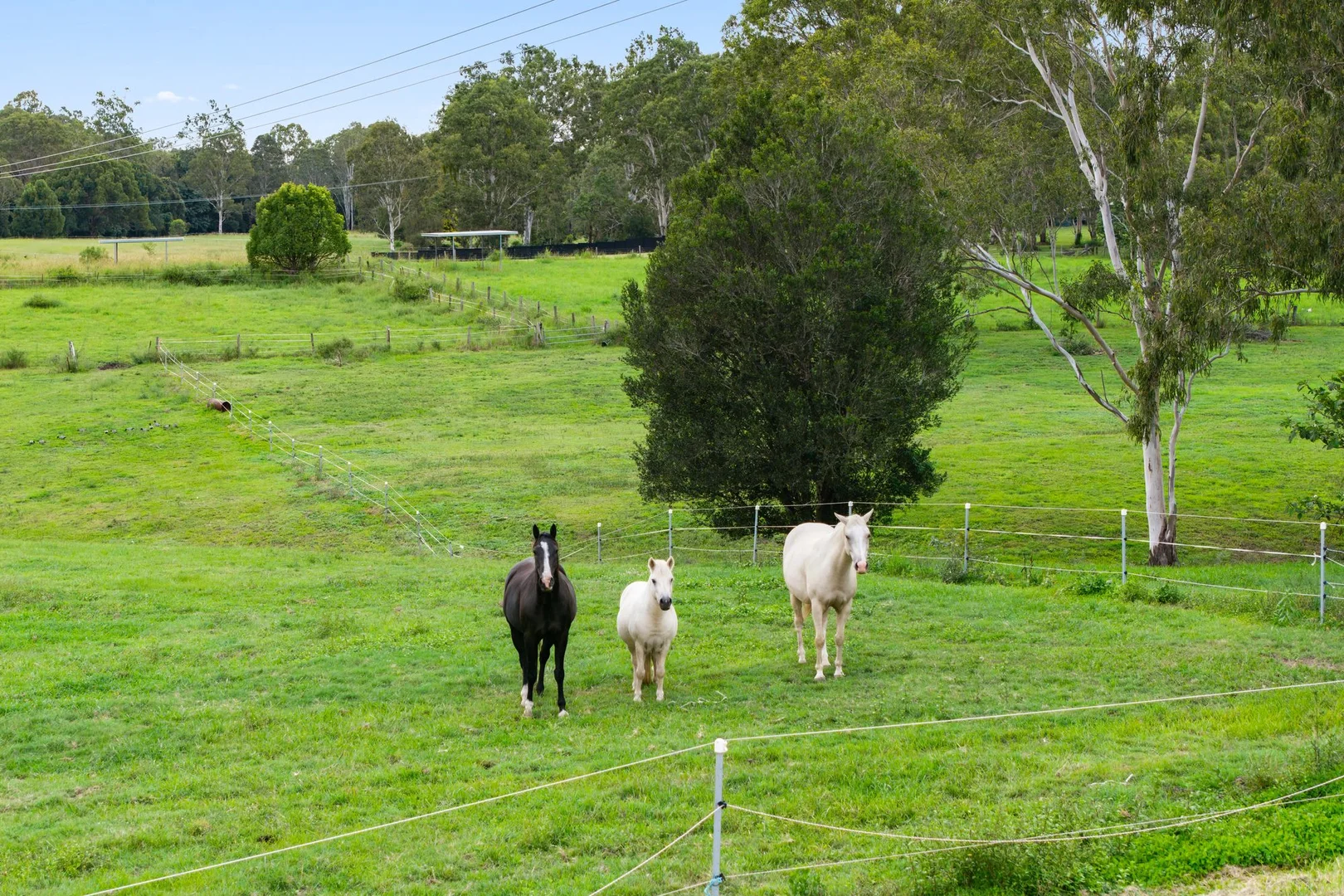 Additional image 31 of 107-115 Garden Road, Cedar Creek QLD 4207