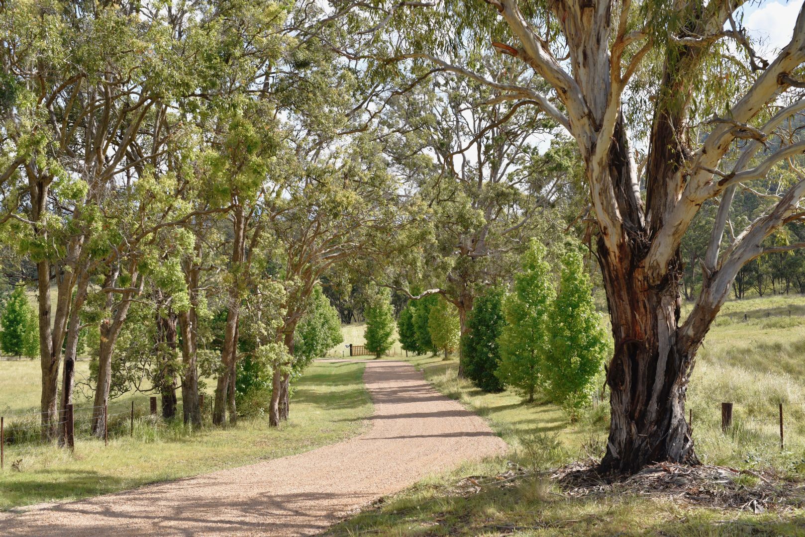 7063 New England Highway, Sandy Flat Property History & Address