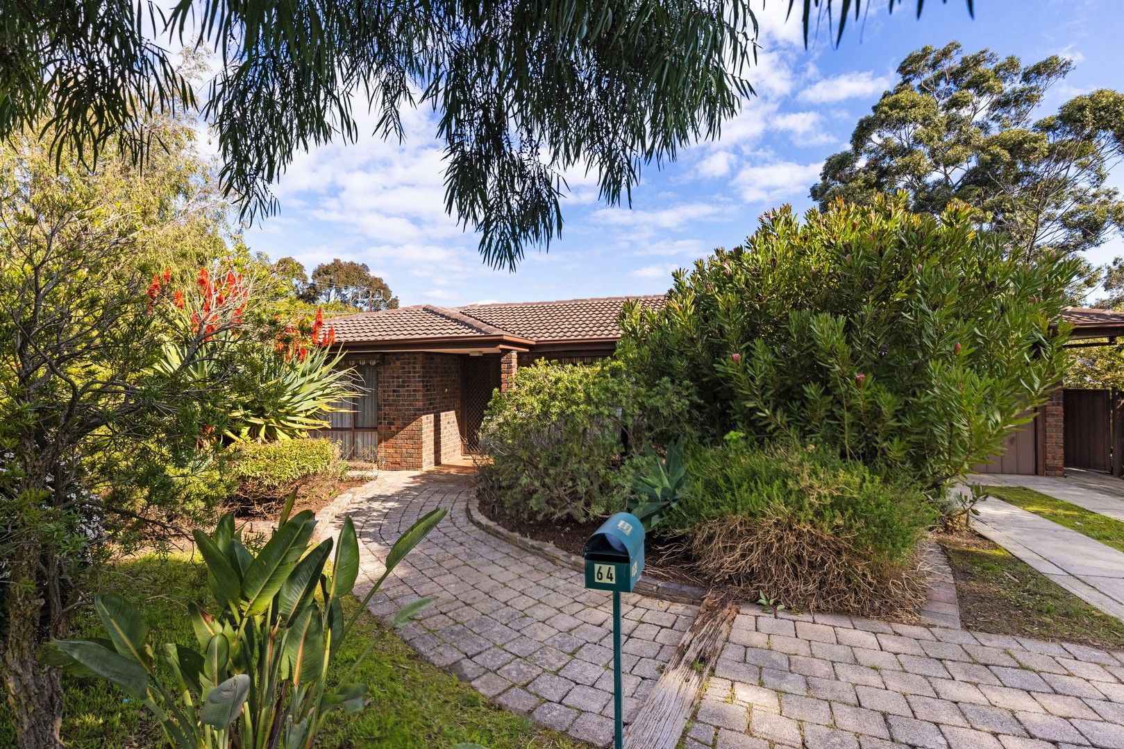 64 Oakridge Road, Aberfoyle Park SA 5159, Image 0