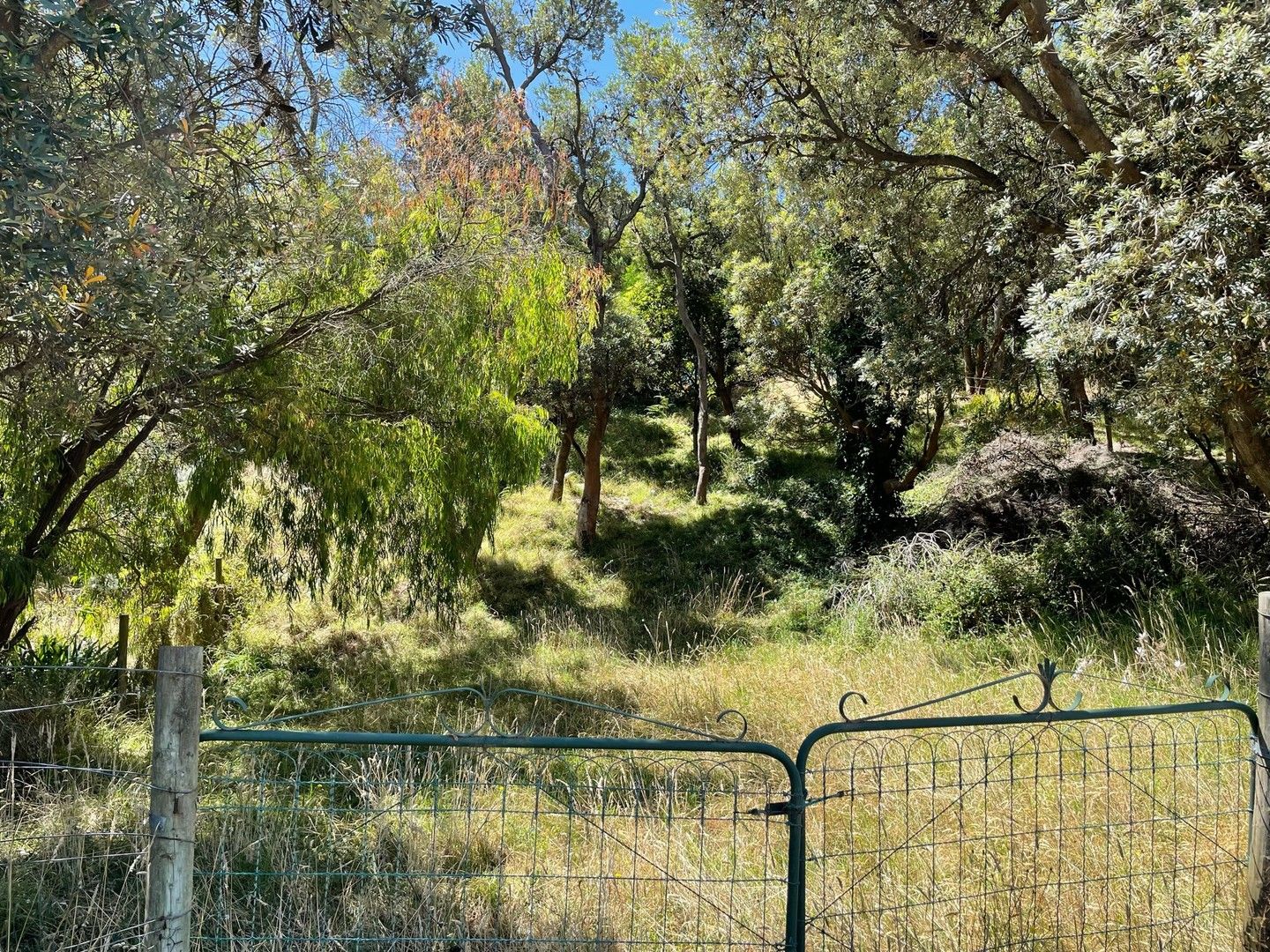 Vacant land in 3 St Ives Crescent, VENUS BAY VIC, 3956