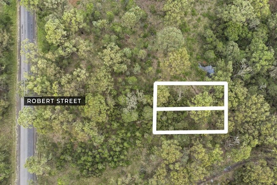 Lot 28 & 29 Grainger Street, Angus NSW 2765, Image 1