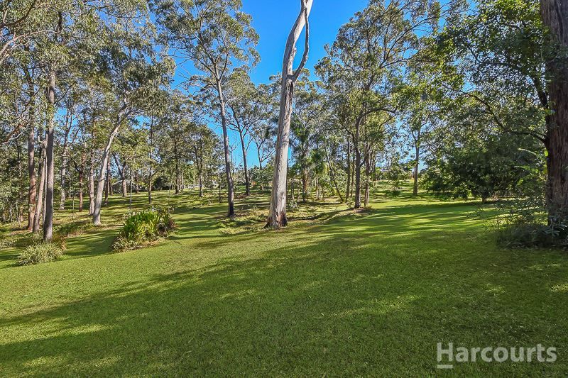 31 Donovan Court, Morayfield QLD 4506, Image 0