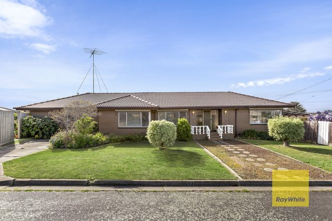Picture of 11 Riatta Ave, GROVEDALE VIC 3216