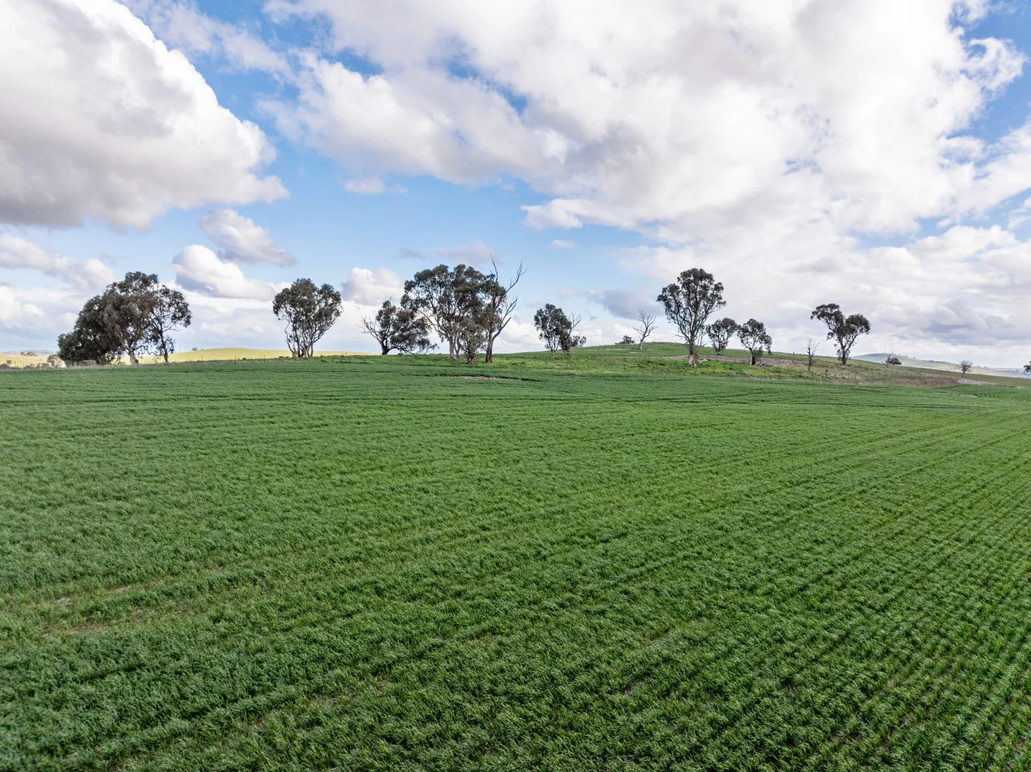 Image 15
