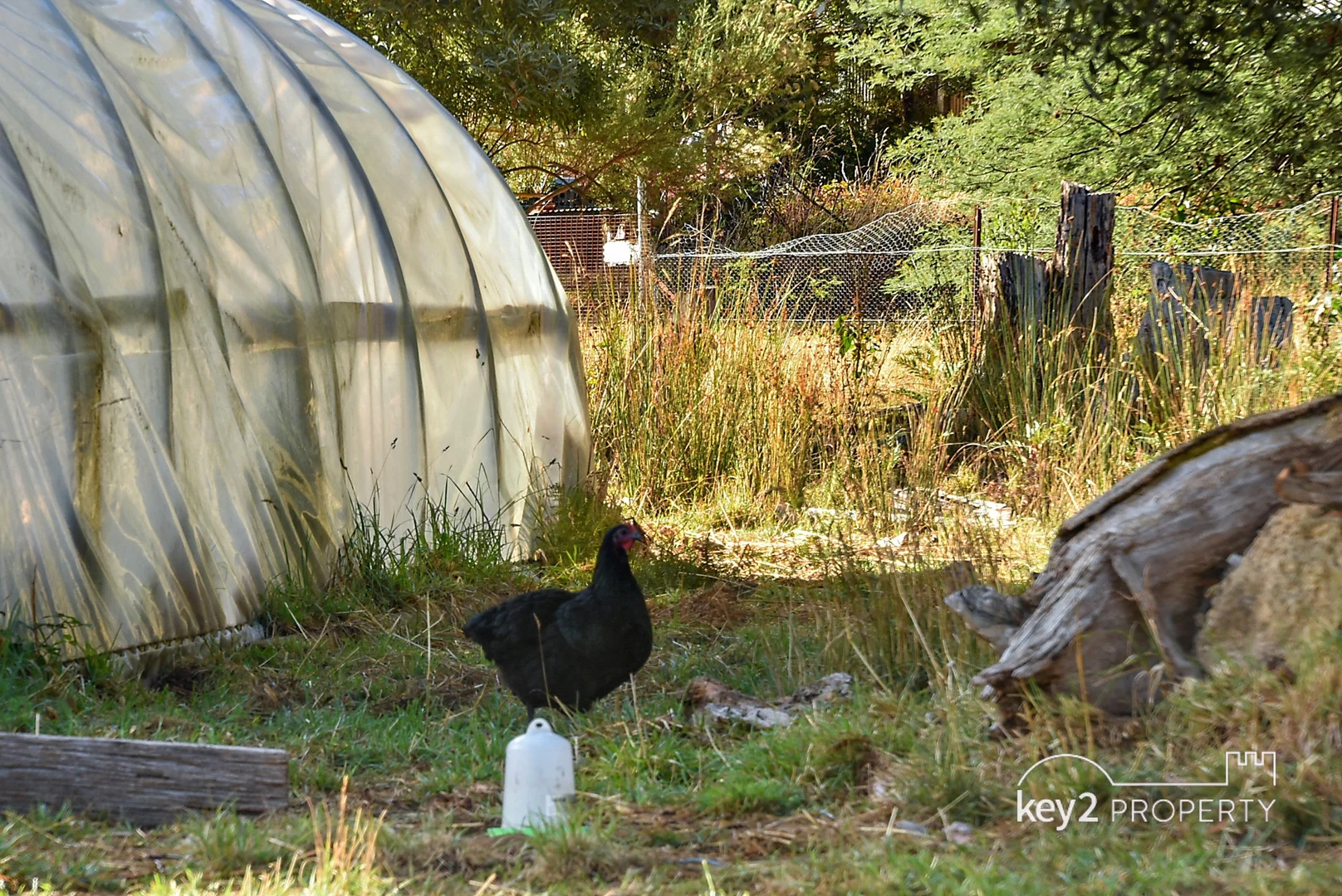 Additional image 18 of 223 Main Road, Meander TAS 7304