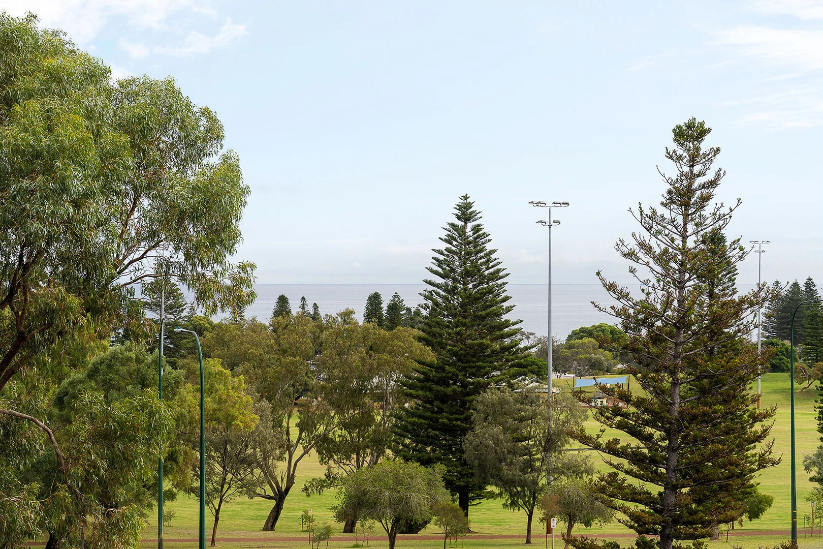Image 21