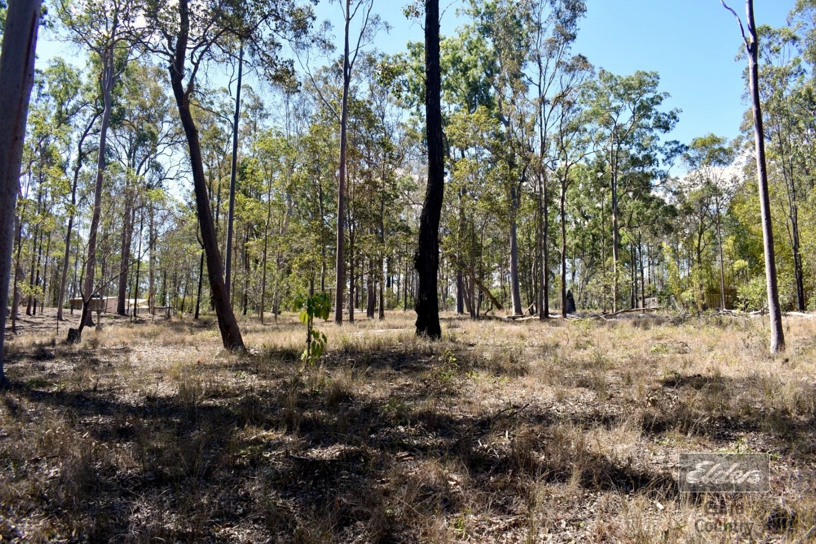 Lot 161 Harvey Road, Glenwood QLD 4570, Image 2