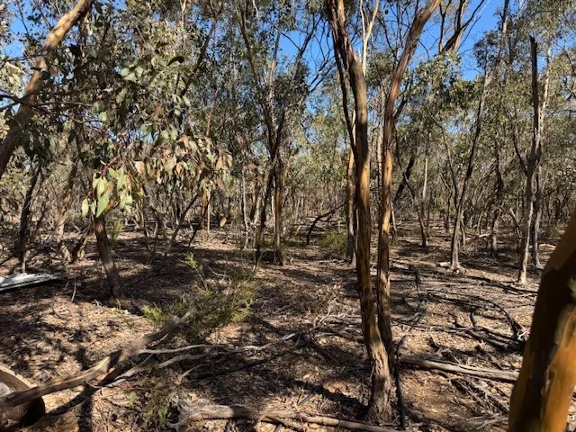 Image 12