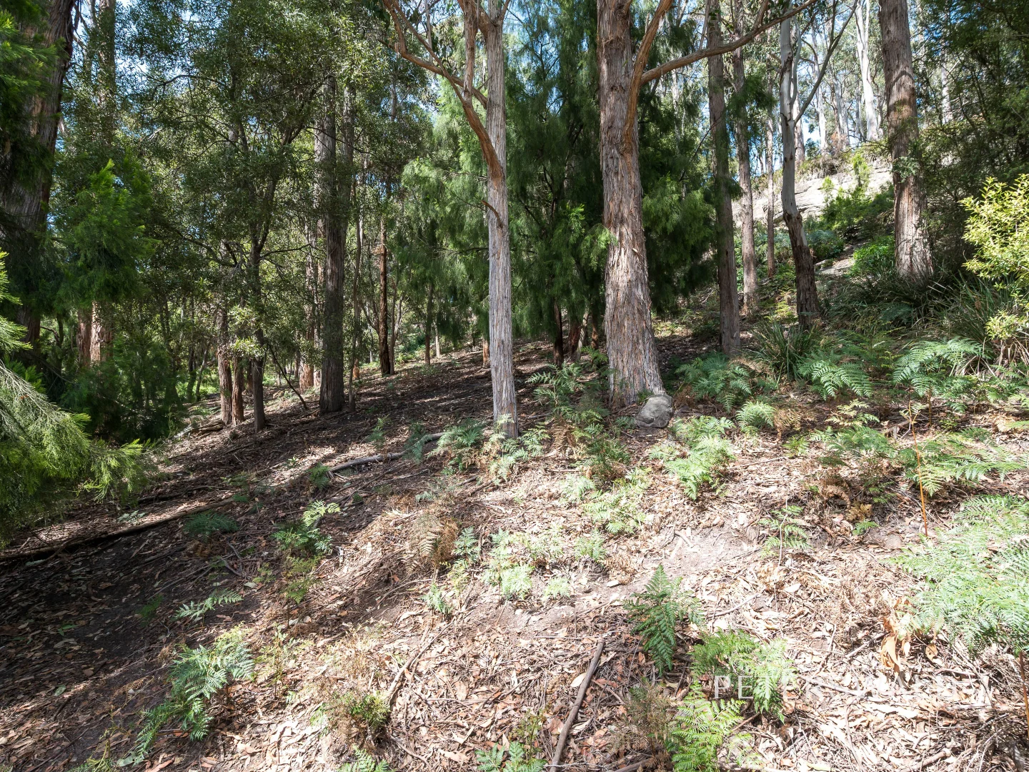 Image 35