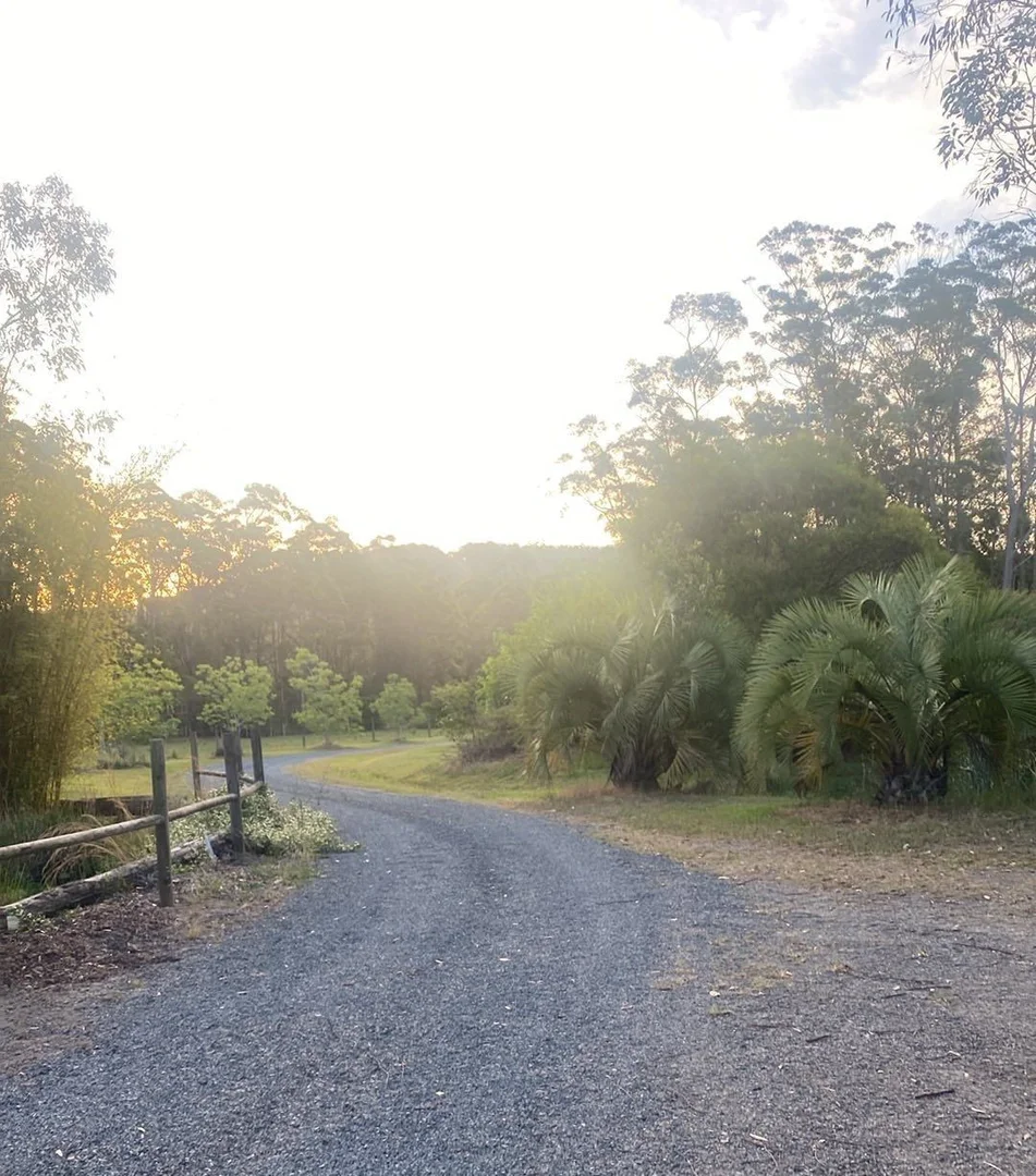 Image 18