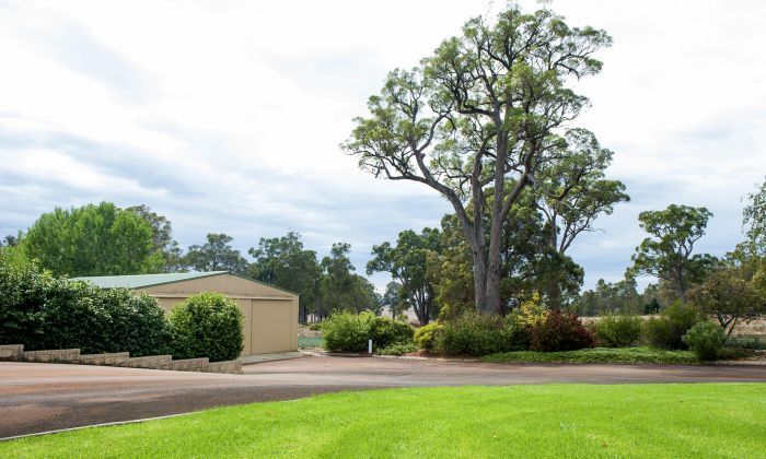 41 Manjin Drive, Manjimup WA 6258, Image 1