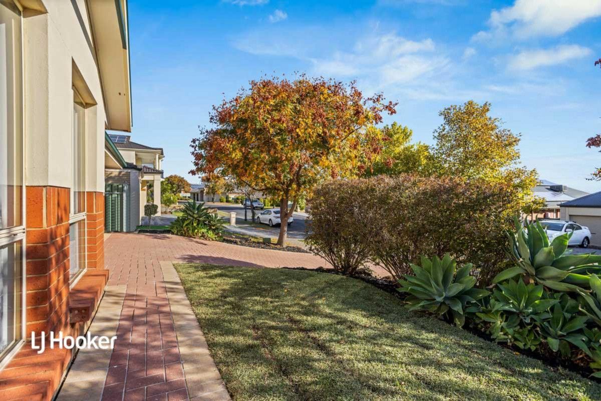 43 Magazine Drive, Walkley Heights SA 5098, Image 1