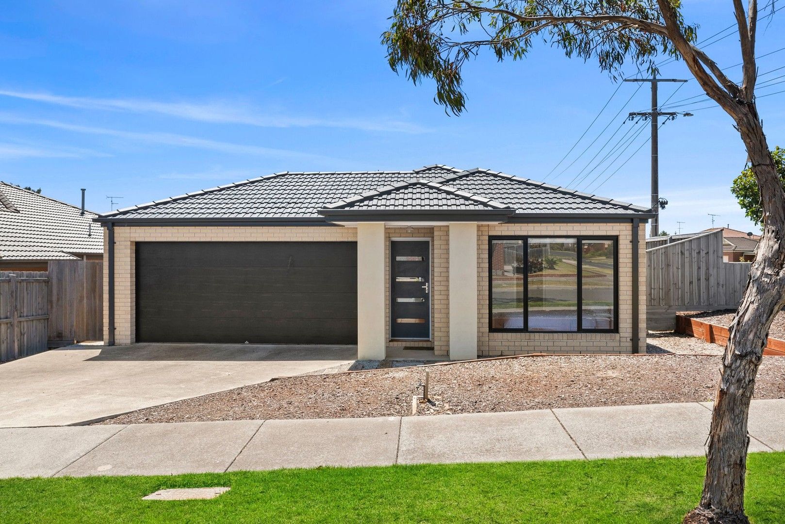 49 Pickworth Drive, Leopold VIC 3224, Image 2