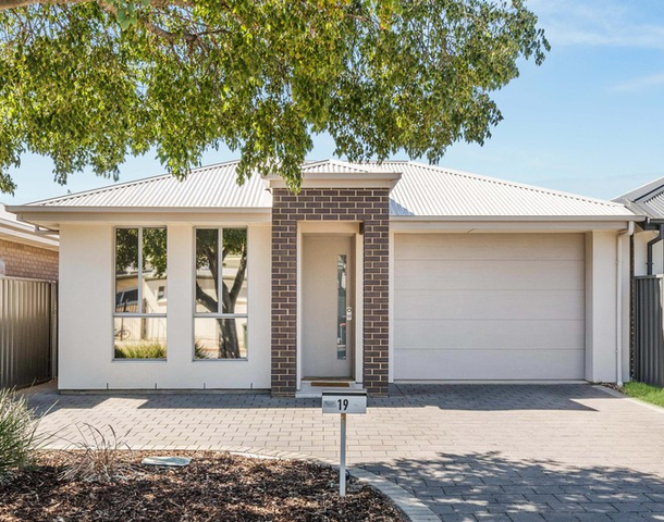 19 Cairns Avenue, Warradale SA 5046