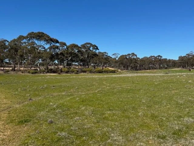Image 14