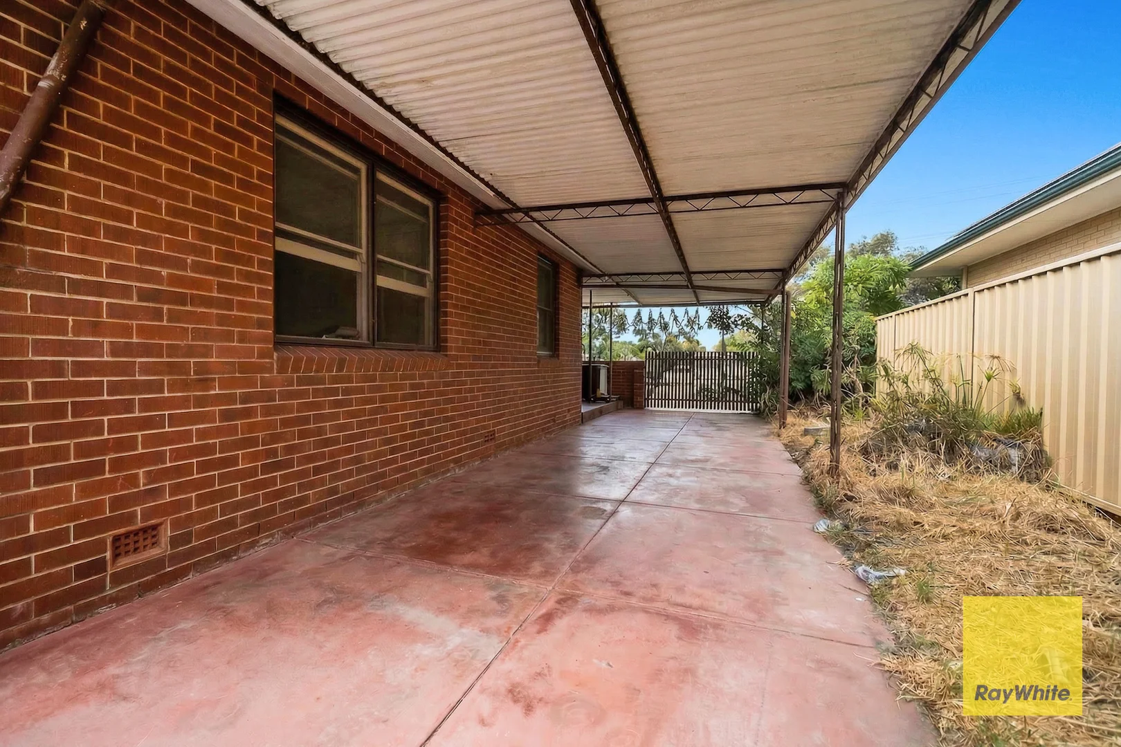 Image 6
