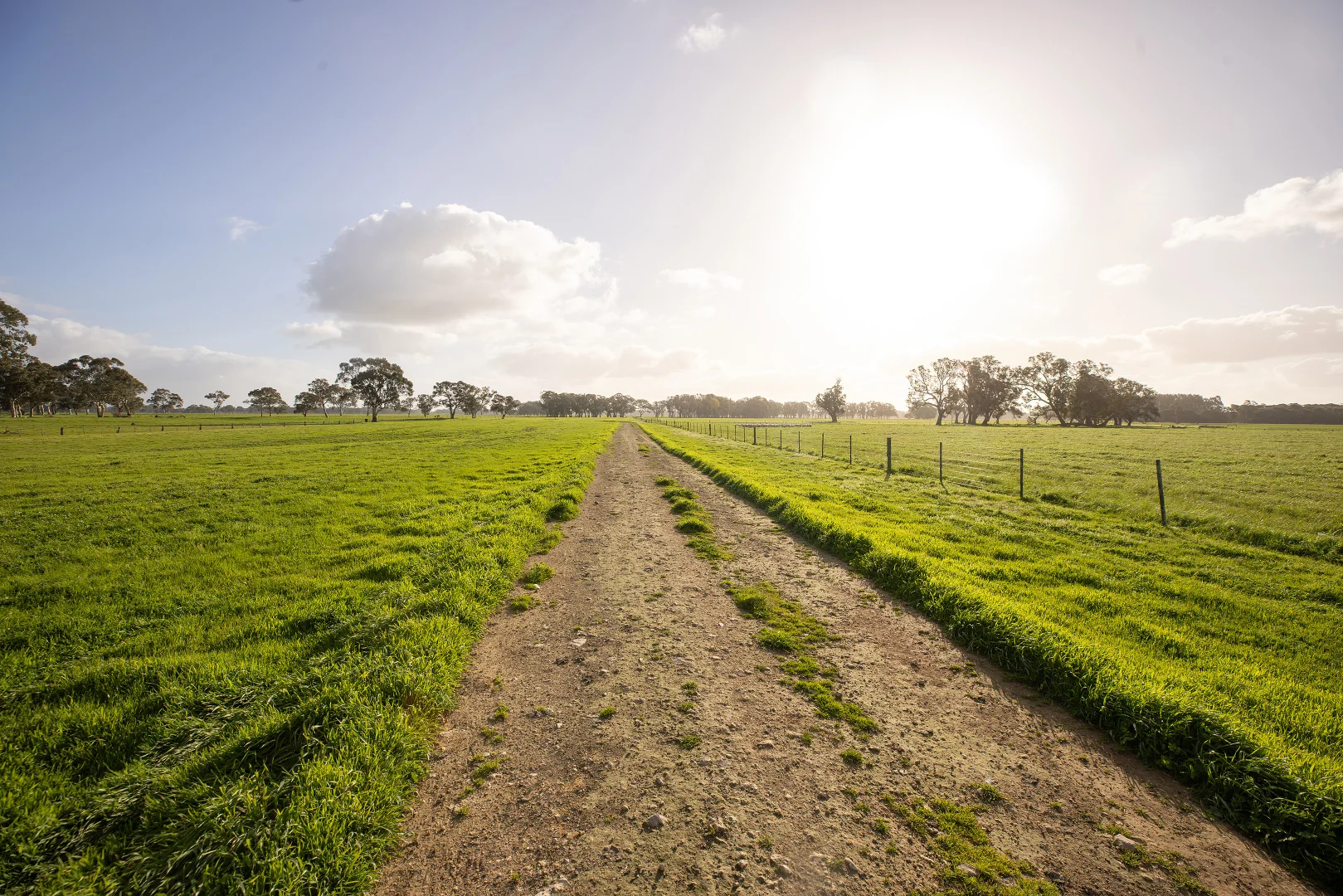 Additional image 24 of 546 Bool Lagoon West Road, Penola SA 5277