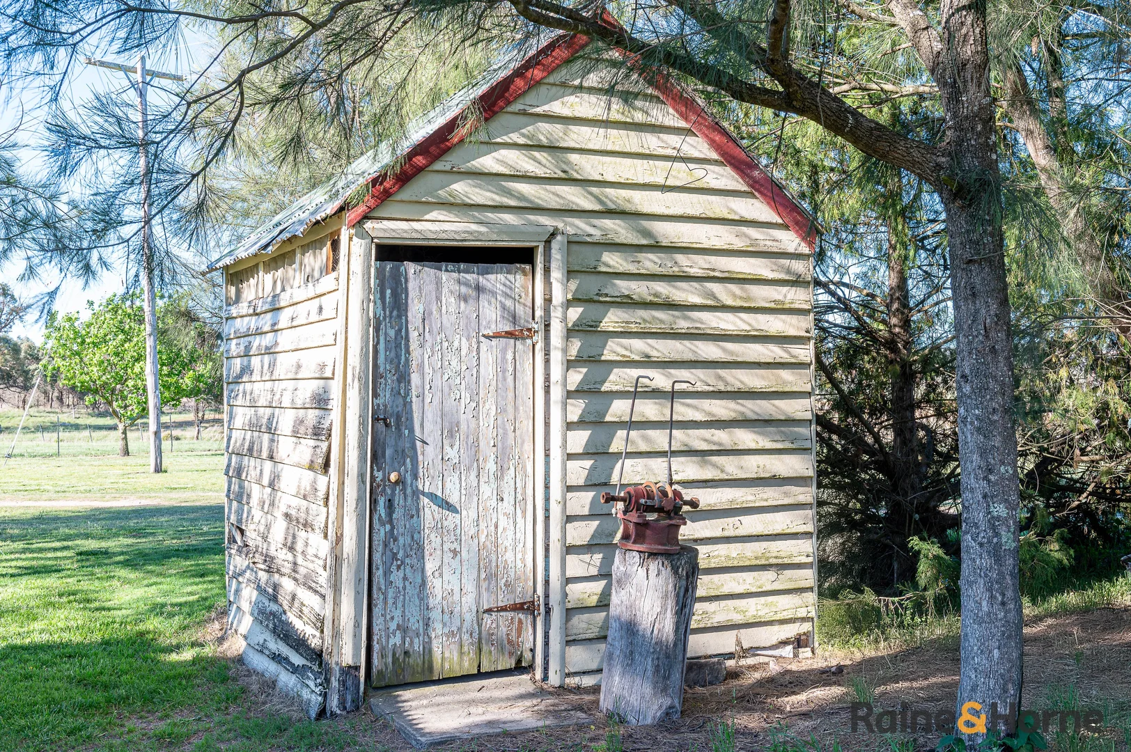 Image 29