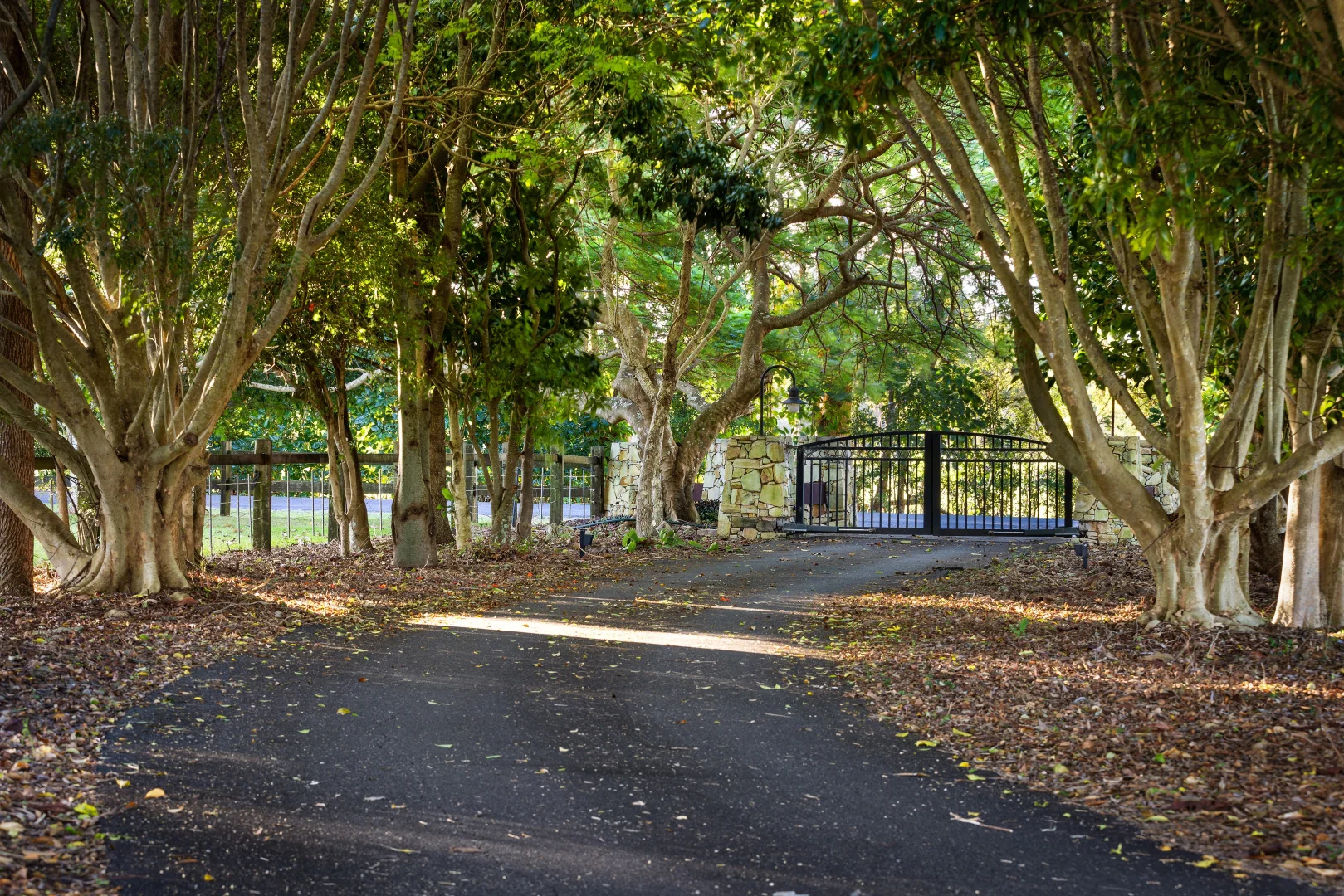 Additional image 30 of 246 Martins Lane, Knockrow NSW 2479