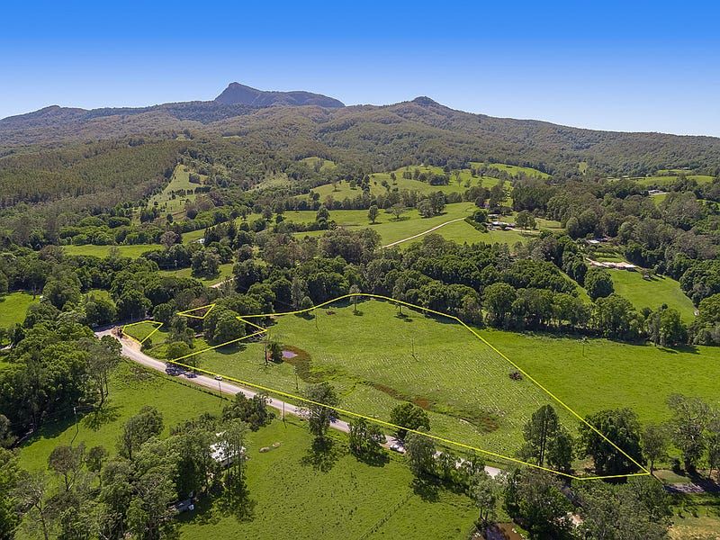 1 Back Creek Road, Brays Creek NSW 2484, Image 2