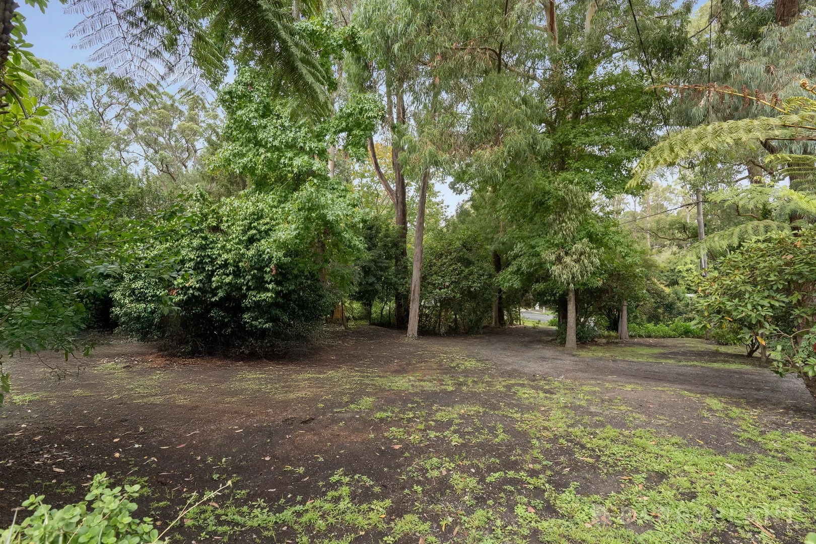 Image 19