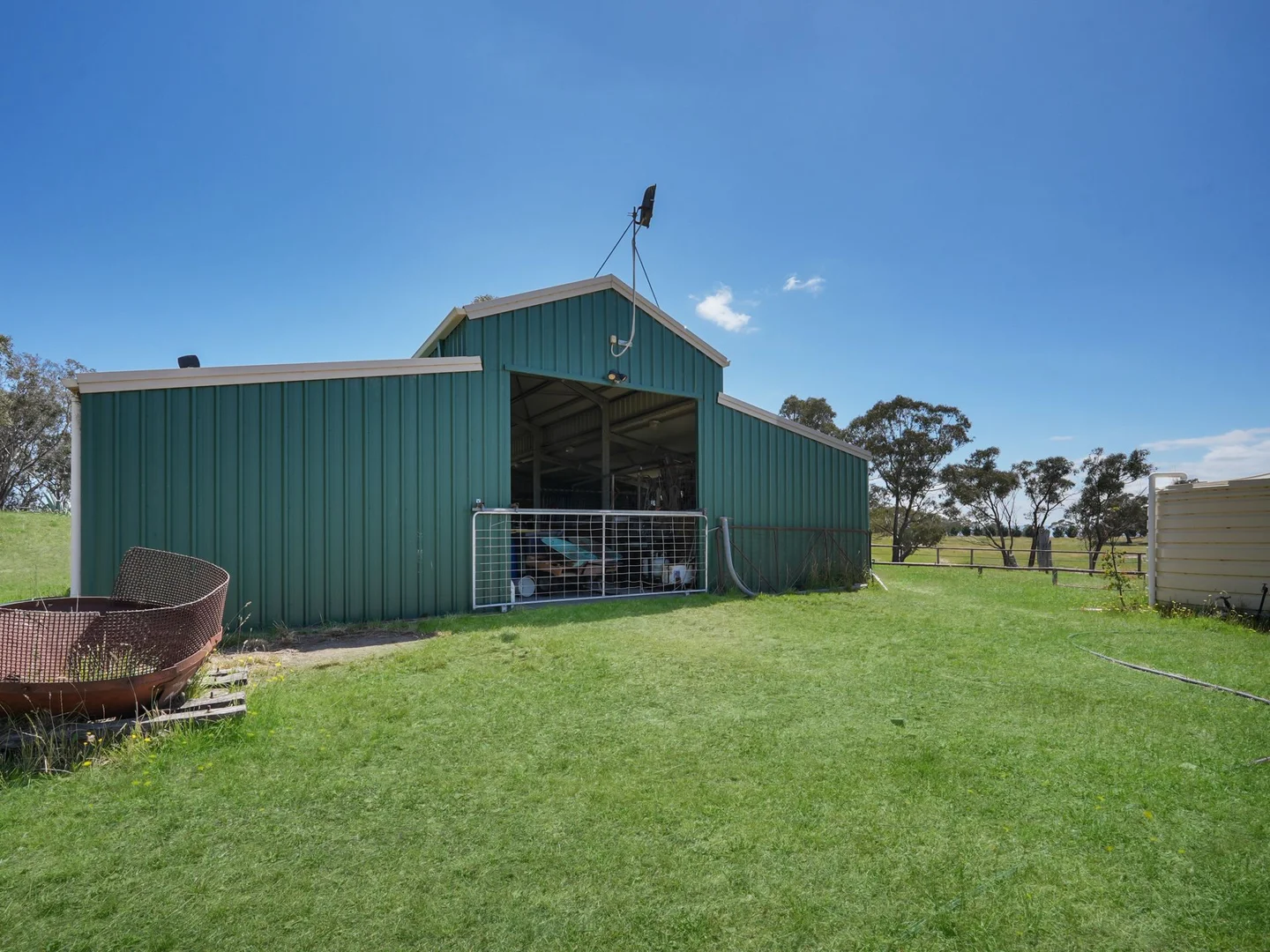 Image 8