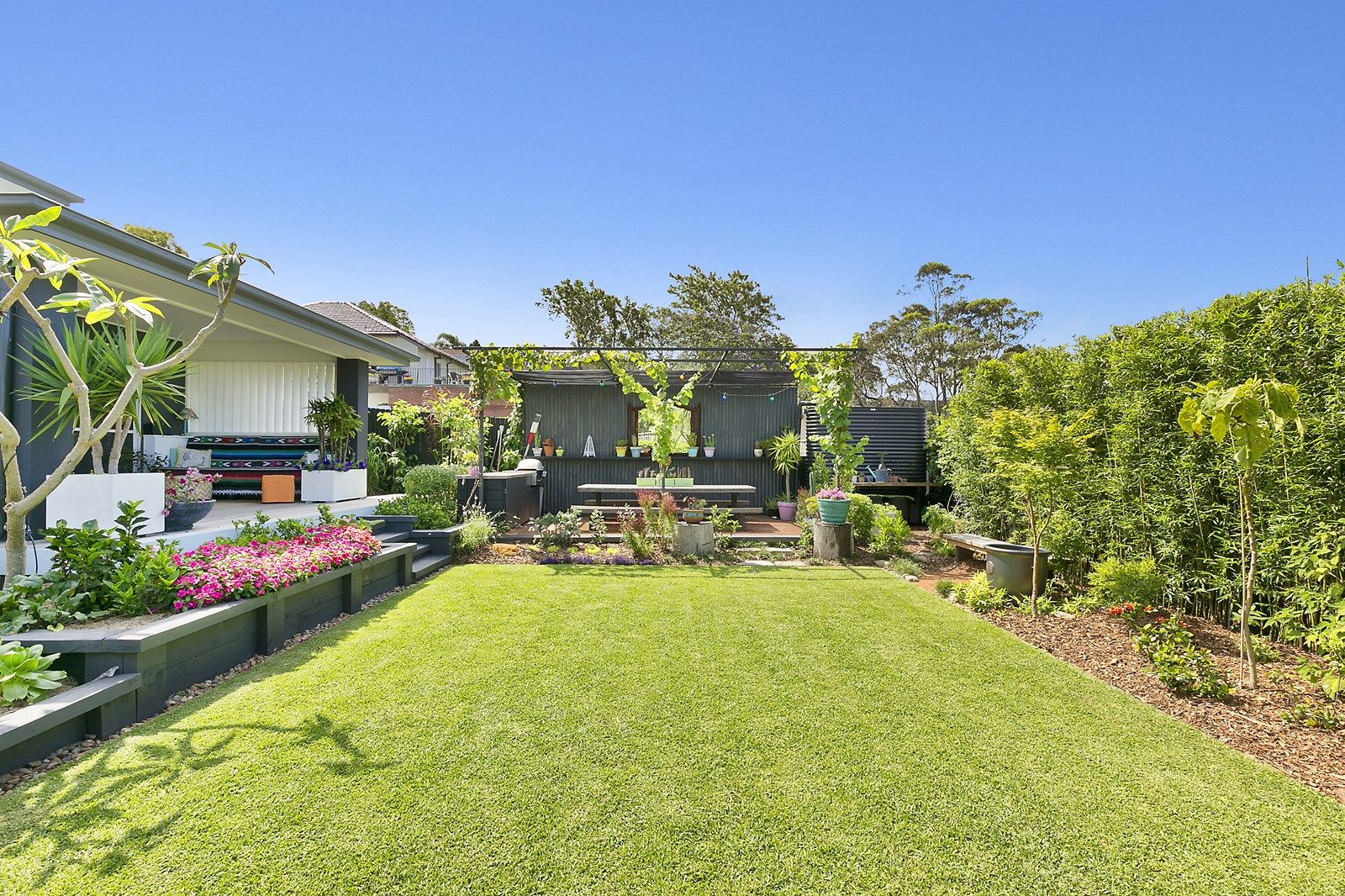 14 Beacon Hill Road, Beacon Hill NSW 2100, Image 1