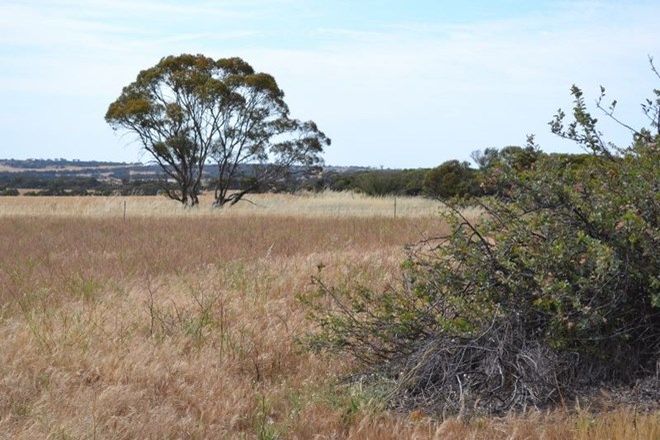 Picture of . The Ridge, CUNDERDIN WA 6407