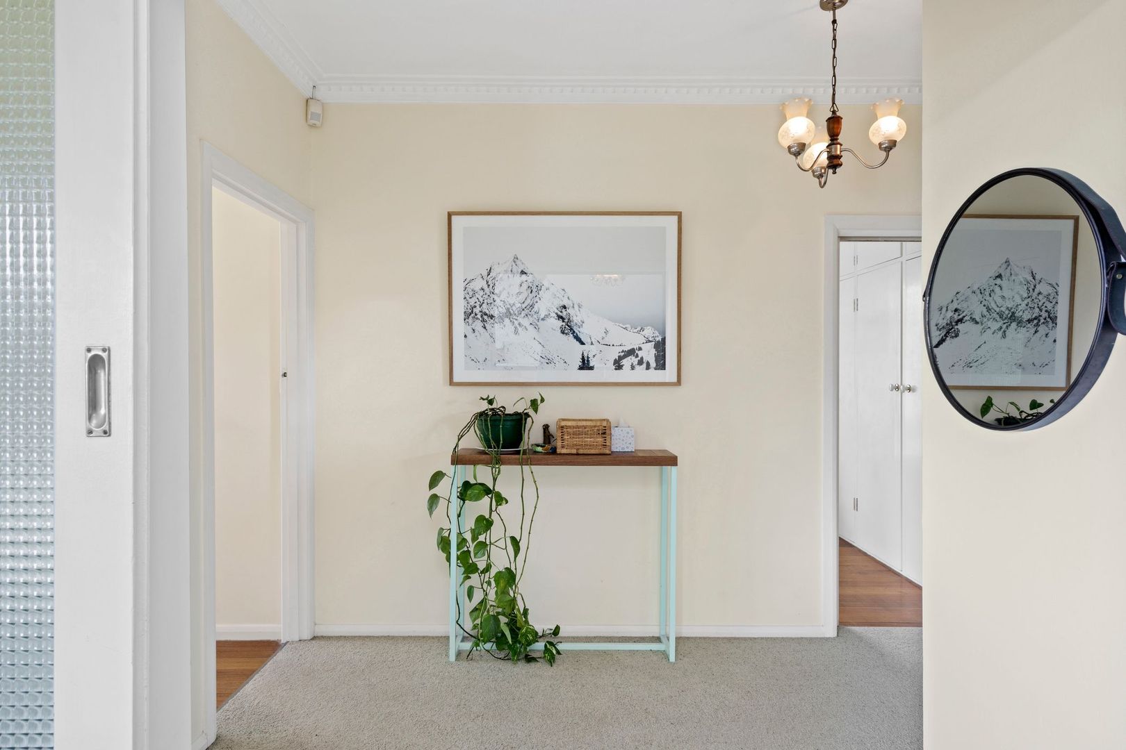 19 Ashbourne Street, Herne Hill VIC 3218, Image 1