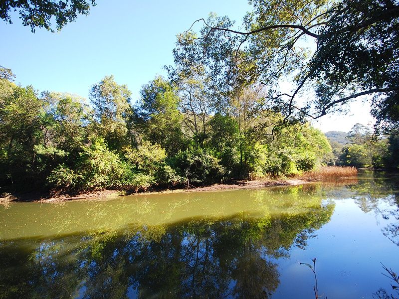 461 Mangrove Creek Road, Mangrove Creek NSW 2250, Image 1