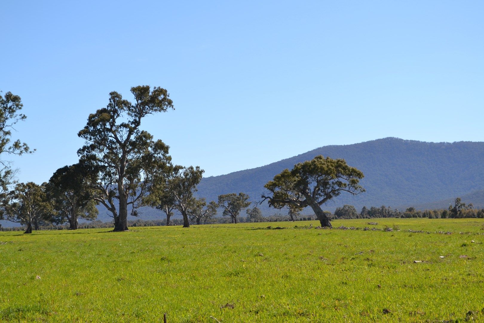 0 Peacocks Road, Buangor VIC 3375, Image 0