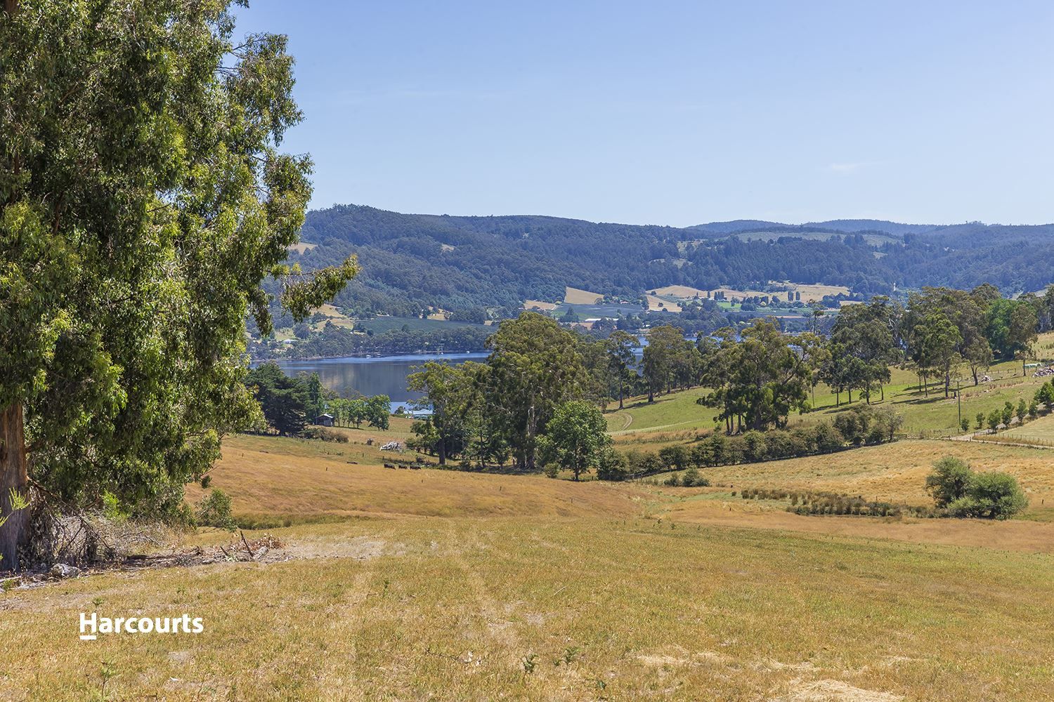 Lot 3 Browns Road, Lower Wattle Grove TAS 7109, Image 1